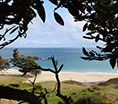 Cactus Bay